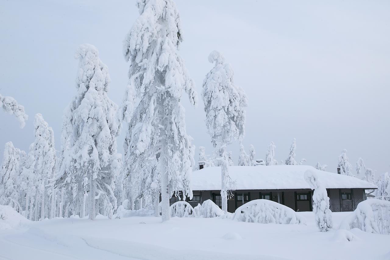 Jaettilaeisenmaa Hotel Paltamo Exterior foto
